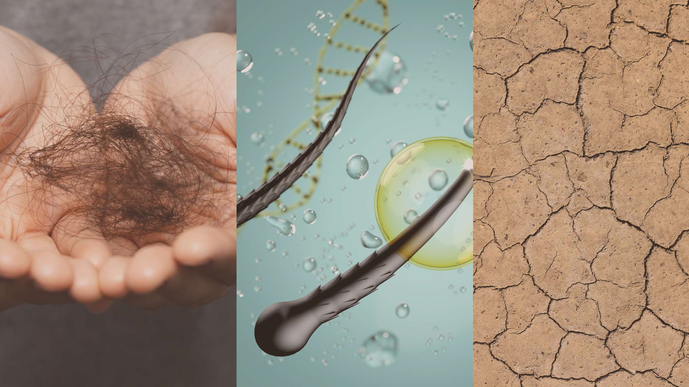 Coupe et entretien des cheveux crépus & texturés : Guide spécial enfants